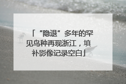 “隐退”多年的罕见鸟种再现浙江，填补影像记录空白