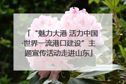 “魅力大港 活力中国·世界一流港口建设”主题宣传活动走进山东