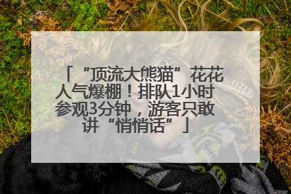 “顶流大熊猫”花花人气爆棚！排队1小时参观3分钟，游客只敢讲“悄悄话”