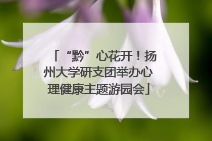 “黔”心花开！扬州大学研支团举办心理健康主题游园会