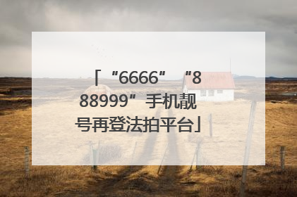 “6666”“888999”手机靓号再登法拍平台
