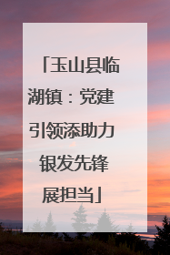 玉山县临湖镇：党建引领添助力 银发先锋展担当