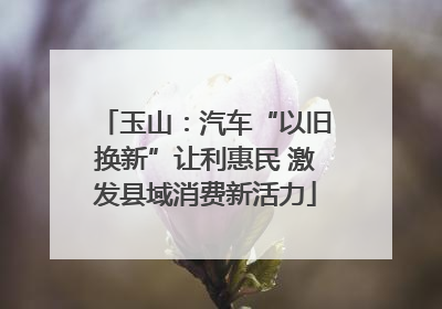 玉山：汽车“以旧换新”让利惠民 激发县域消费新活力