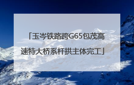 玉岑铁路跨G65包茂高速特大桥系杆拱主体完工