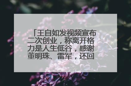 王自如发视频宣布二次创业，称离开格力是人生低谷，感谢董明珠、雷军，还回应了“工资条”：清楚自己要什么……