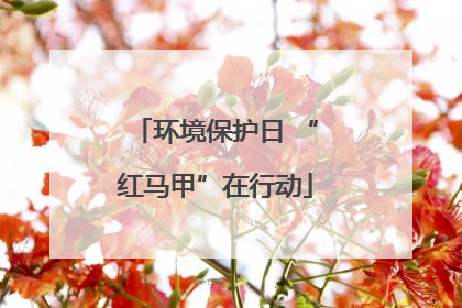 环境保护日 “红马甲”在行动