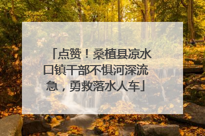点赞！桑植县凉水口镇干部不惧河深流急，勇救落水人车
