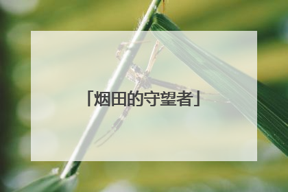 烟田的守望者
