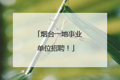 烟台一地事业单位招聘！