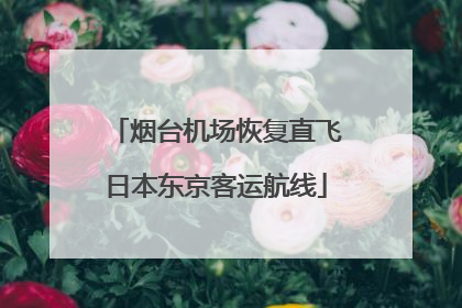 烟台机场恢复直飞日本东京客运航线