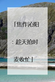 焦作沁阳：趁天抢时麦收忙