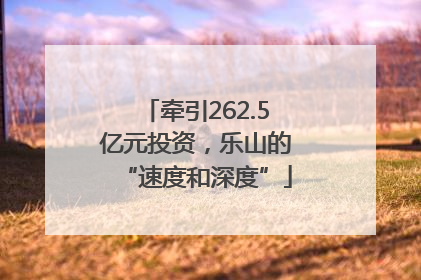 牵引262.5亿元投资，乐山的“速度和深度”