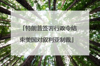 特朗普签署行政令结束美国对叙利亚制裁