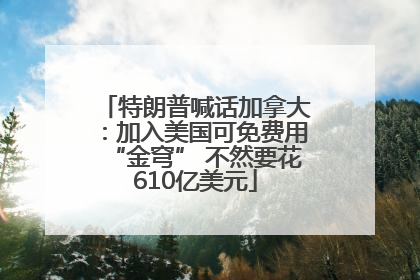 特朗普喊话加拿大：加入美国可免费用“金穹” 不然要花610亿美元