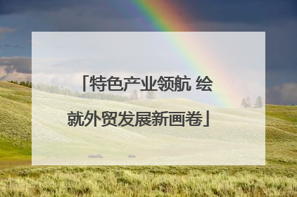 特色产业领航 绘就外贸发展新画卷