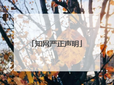 知网严正声明