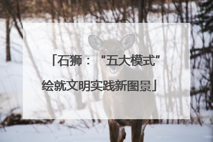 石狮：“五大模式”绘就文明实践新图景