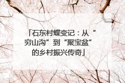 石东村蝶变记：从“穷山沟”到“聚宝盆”的乡村振兴传奇