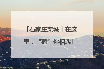 石家庄栾城丨在这里，“荷”你相遇