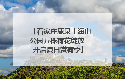 石家庄鹿泉丨海山公园万株荷花绽放 开启夏日赏荷季