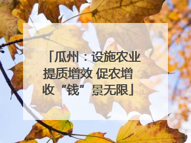 瓜州：设施农业提质增效 促农增收“钱”景无限