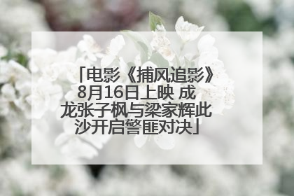 电影《捕风追影》8月16日上映 成龙张子枫与梁家辉此沙开启警匪对决