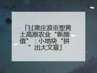 甘肃庄浪重塑黄土高原农业“新颜值”：小地块“拼”出大文章