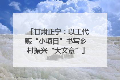 甘肃正宁：以工代赈“小项目”书写乡村振兴“大文章”
