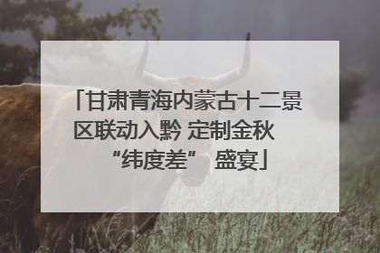 甘肃青海内蒙古十二景区联动入黔 定制金秋 “纬度差” 盛宴