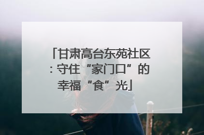 甘肃高台东苑社区：守住“家门口”的幸福“食”光