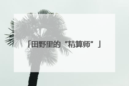 田野里的“精算师”
