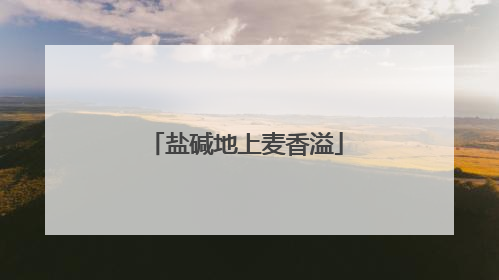 盐碱地上麦香溢