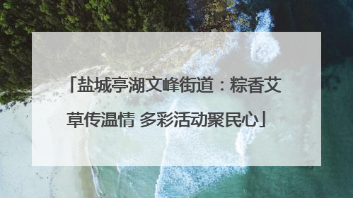盐城亭湖文峰街道：粽香艾草传温情 多彩活动聚民心