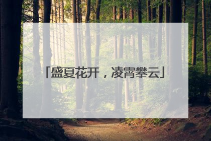 盛夏花开，凌霄攀云