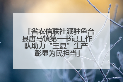 省农信联社派驻鱼台县唐马镇第一书记工作队助力“三夏”生产 彰显为民担当