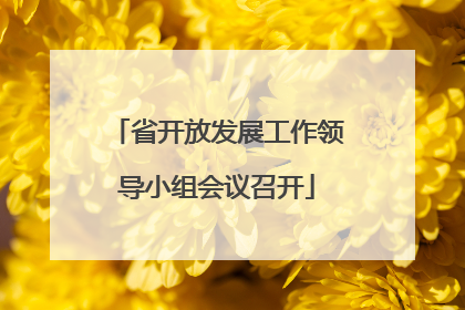 省开放发展工作领导小组会议召开