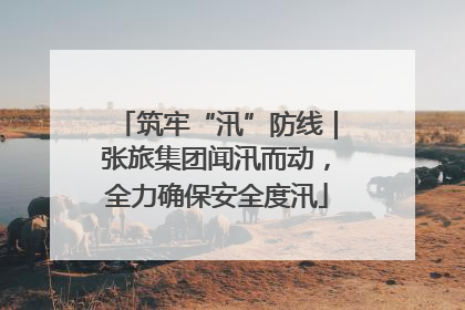 筑牢“汛”防线｜张旅集团闻汛而动，全力确保安全度汛
