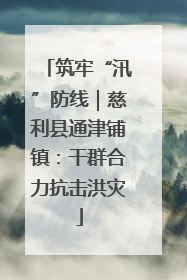 筑牢“汛”防线｜慈利县通津铺镇：干群合力抗击洪灾