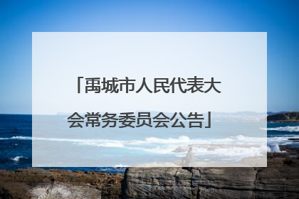禹城市人民代表大会常务委员会公告