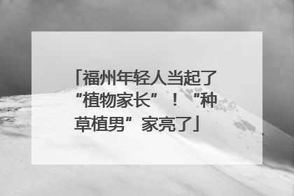 福州年轻人当起了“植物家长”！“种草植男”家亮了