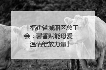 福建省城厢区总工会：馨香赋能母爱 温情绽放力量