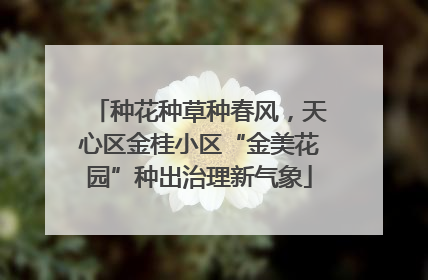 种花种草种春风，天心区金桂小区“金美花园”种出治理新气象