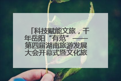 科技赋能文旅，千年岳阳“有范”——第四届湖南旅游发展大会开幕式暨文化旅游推介会侧记