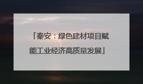 秦安：绿色建材项目赋能工业经济高质量发展