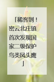 稀客到！密云北庄镇首次发现国家二级保护鸟类凤头鹰