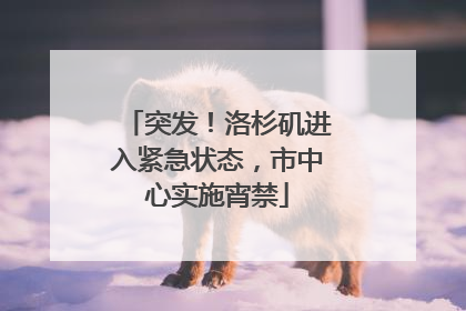 突发！洛杉矶进入紧急状态，市中心实施宵禁