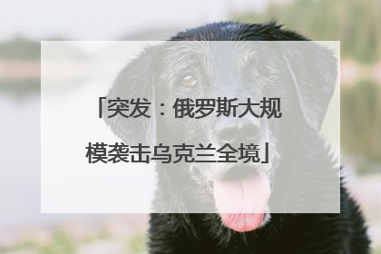 突发：俄罗斯大规模袭击乌克兰全境