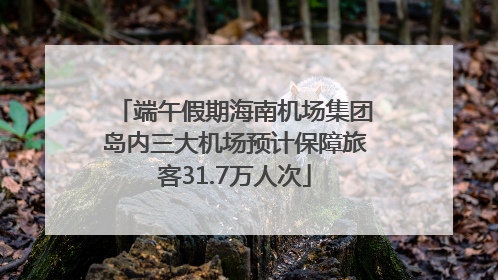 端午假期海南机场集团岛内三大机场预计保障旅客31.7万人次