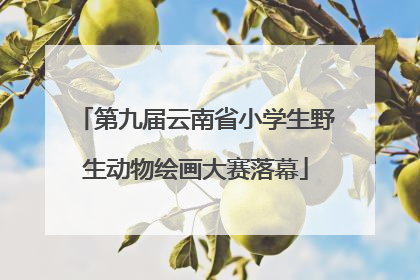 第九届云南省小学生野生动物绘画大赛落幕
