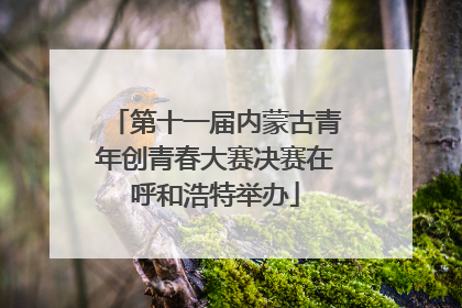 第十一届内蒙古青年创青春大赛决赛在呼和浩特举办